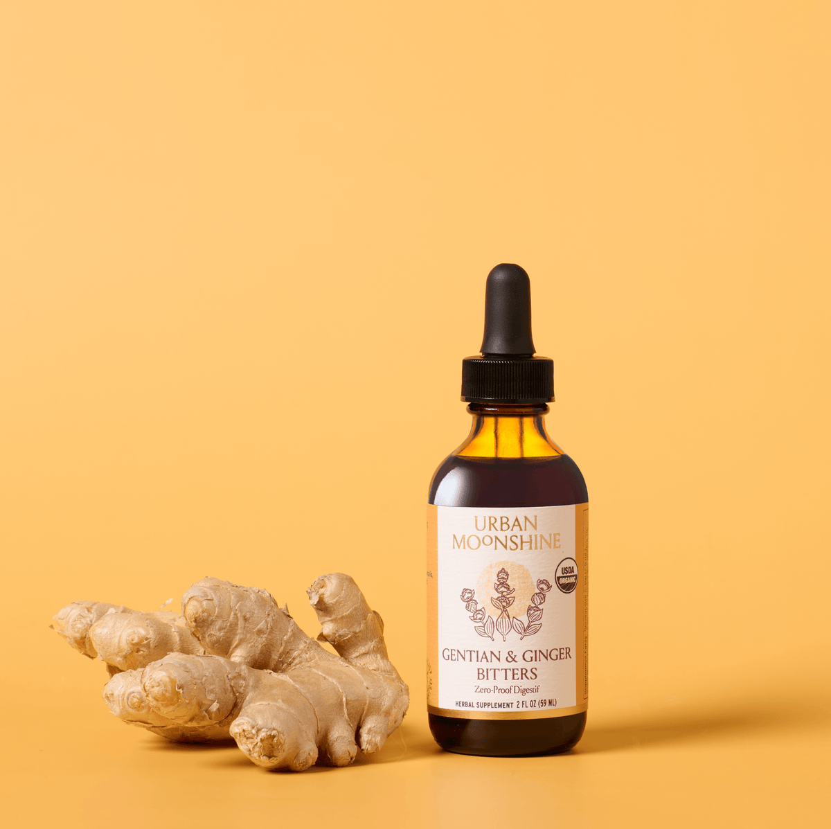 Gentian & Ginger Bitters Case