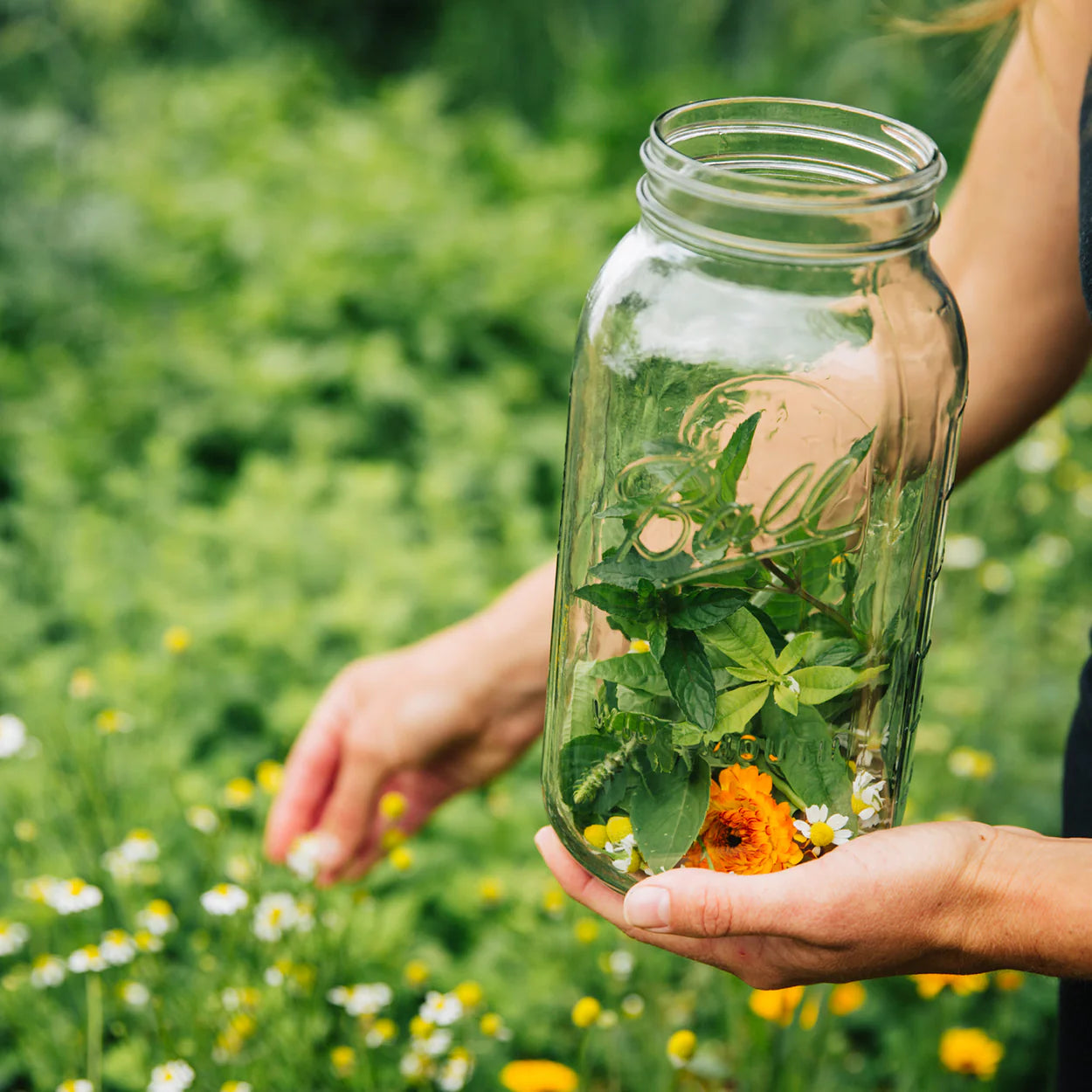 collections-urban-moonshine-immune-mobile-1