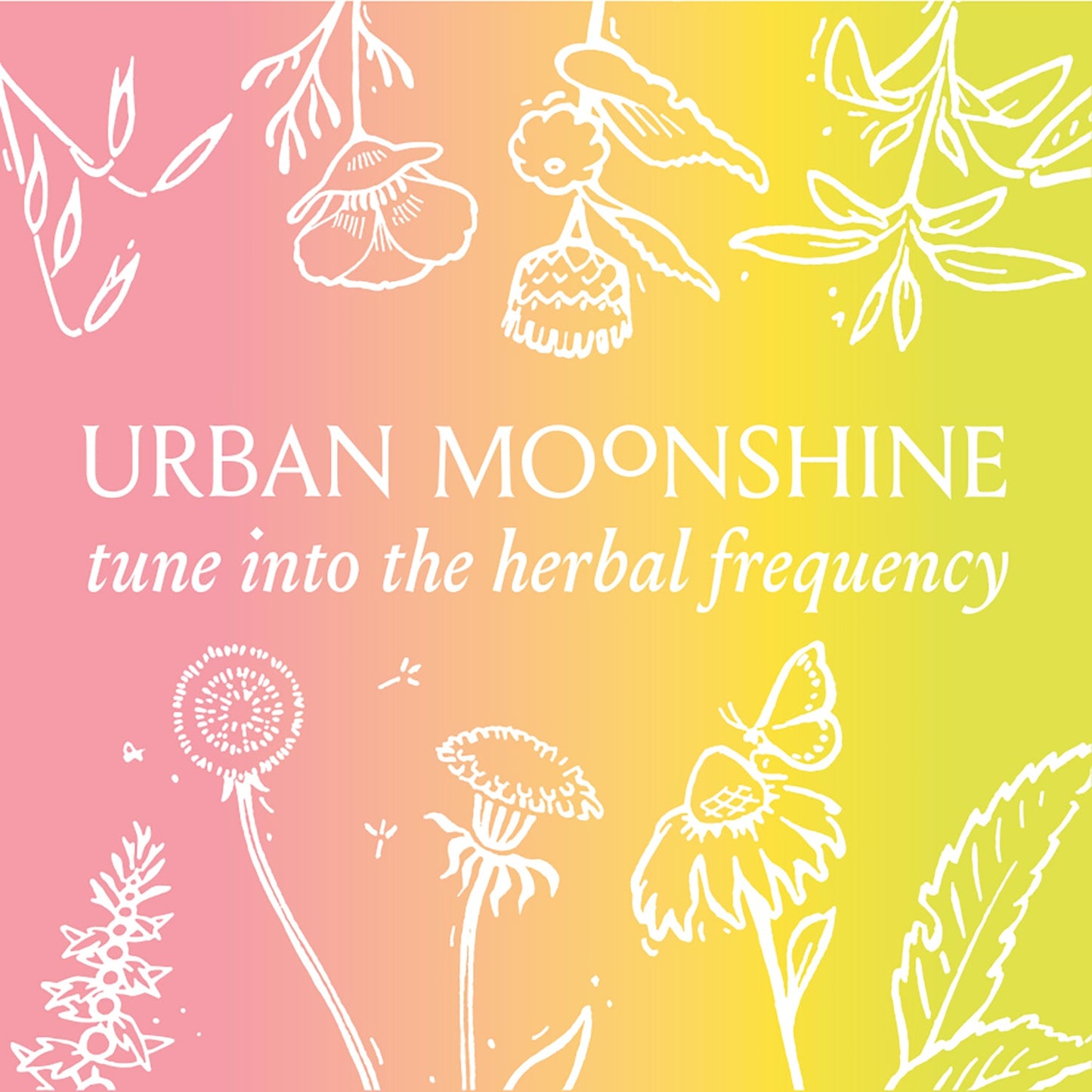 Urban Moonshine Stickers