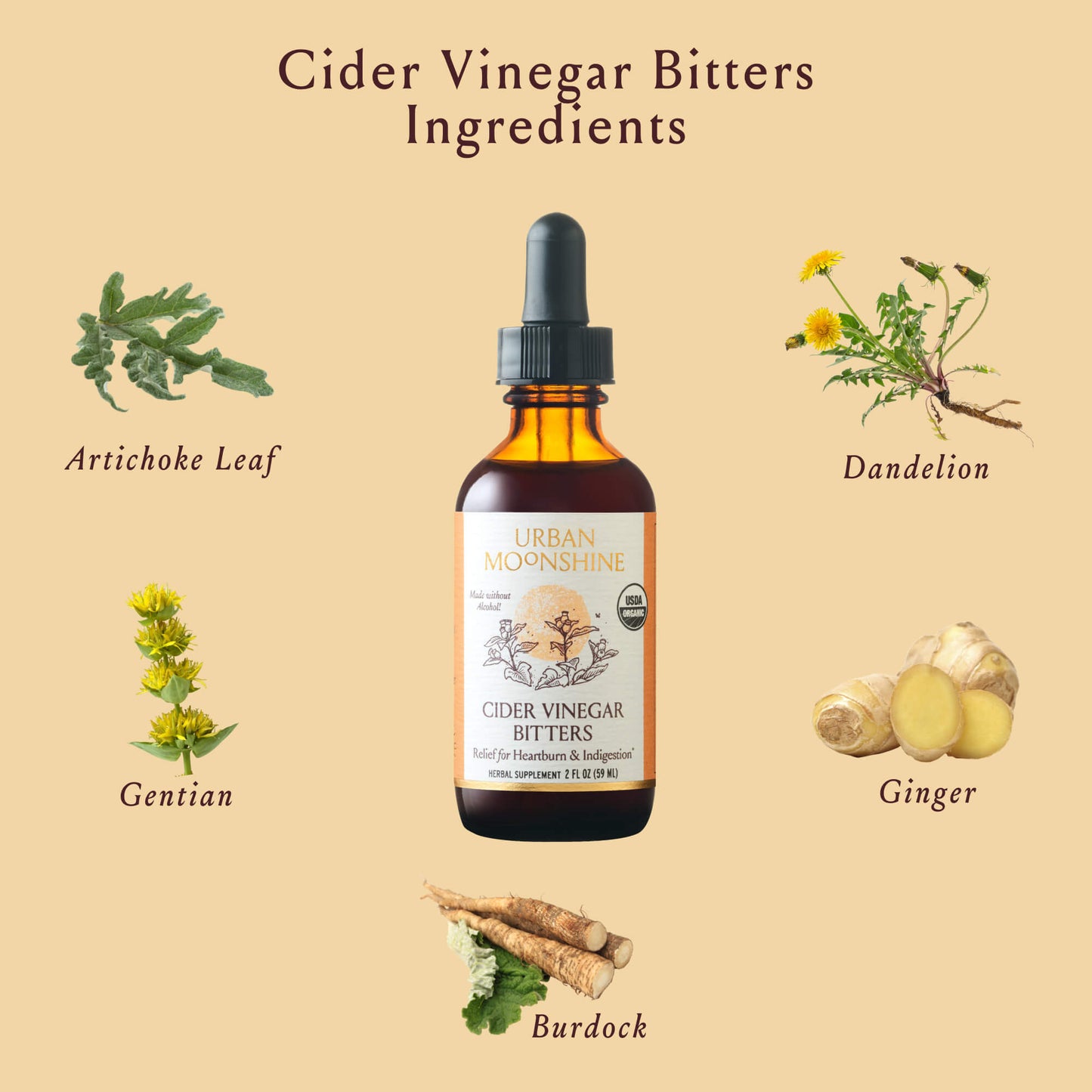 Cider Vinegar Bitters