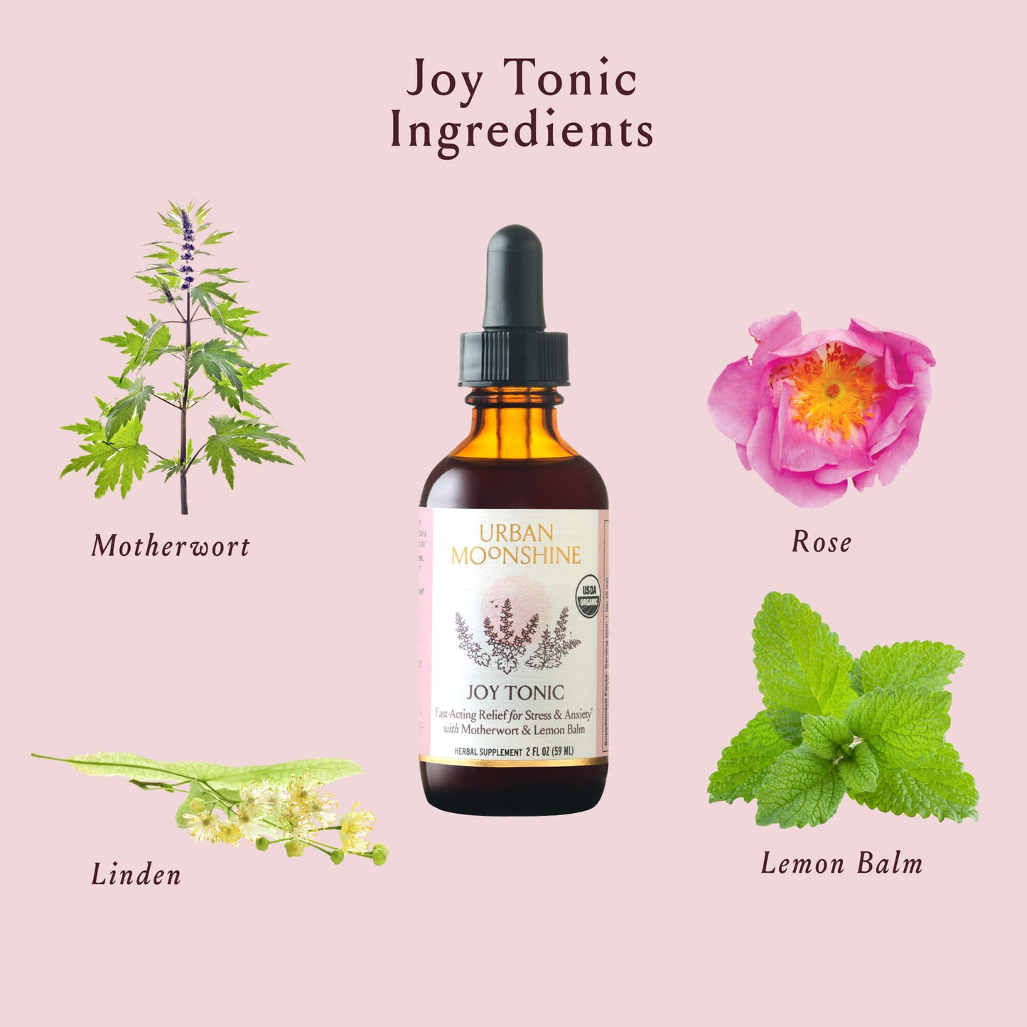 Joy Tonic Case