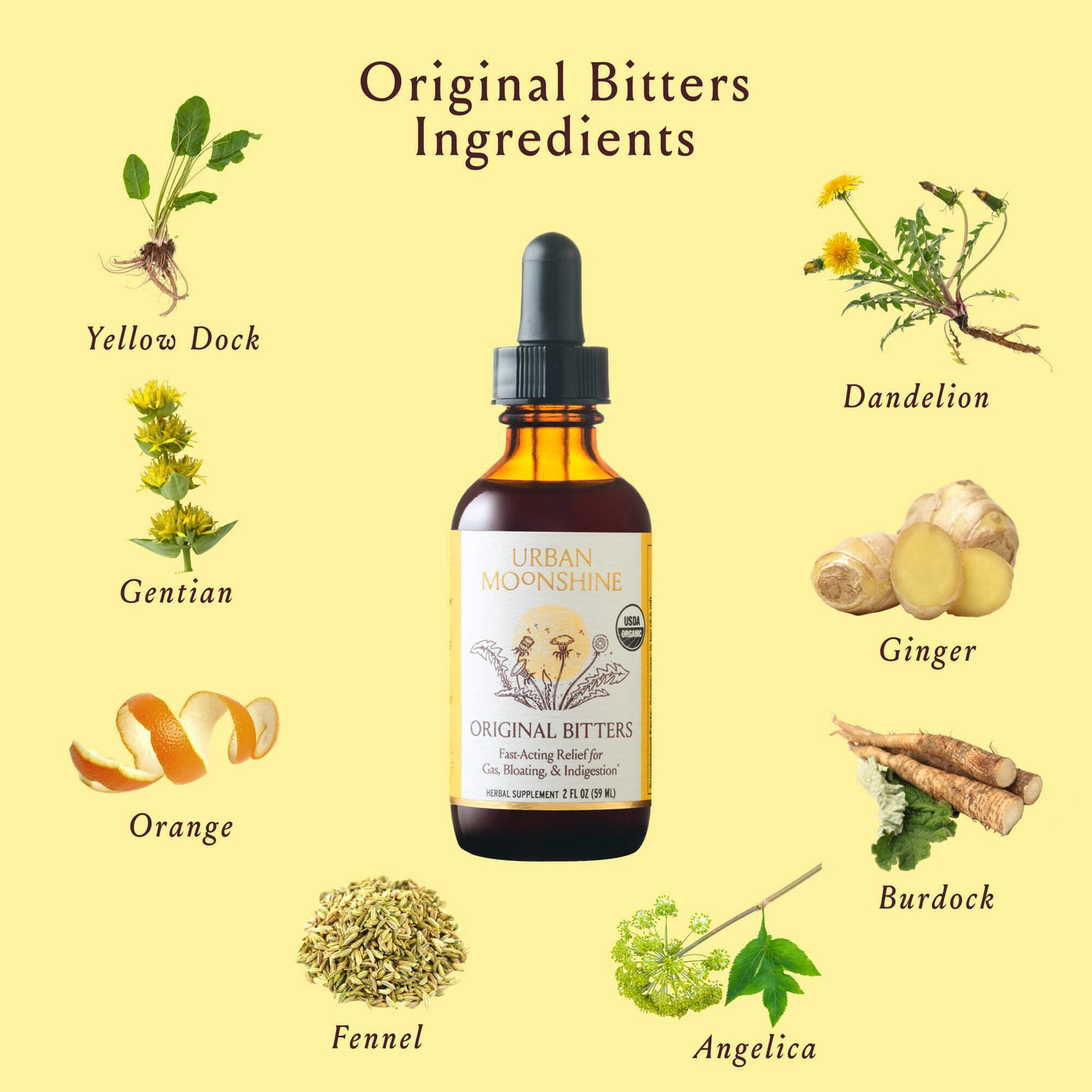 Original Bitters Case