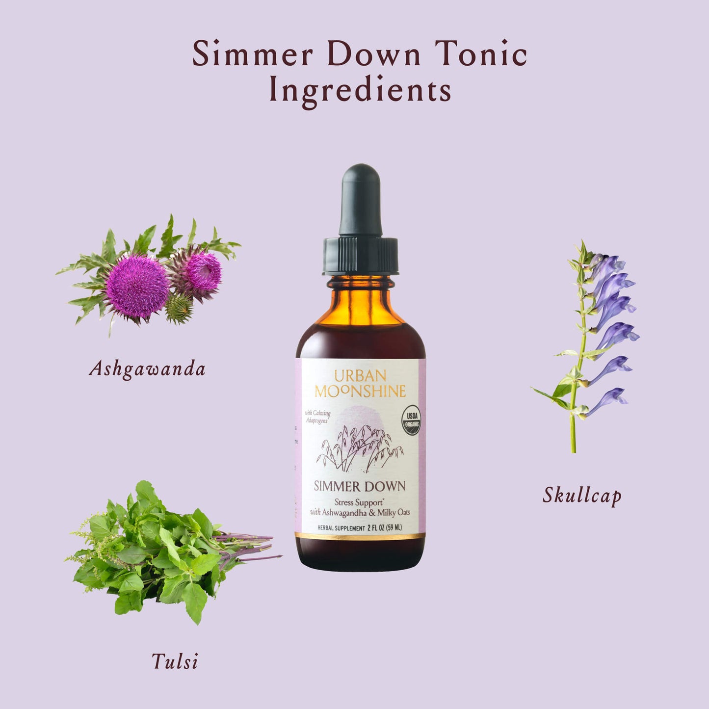 Simmer Down Tonic Case