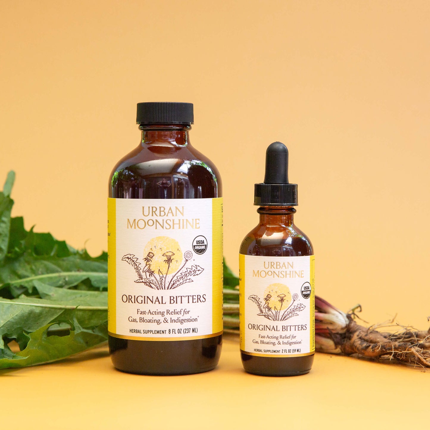 Original Bitters Case