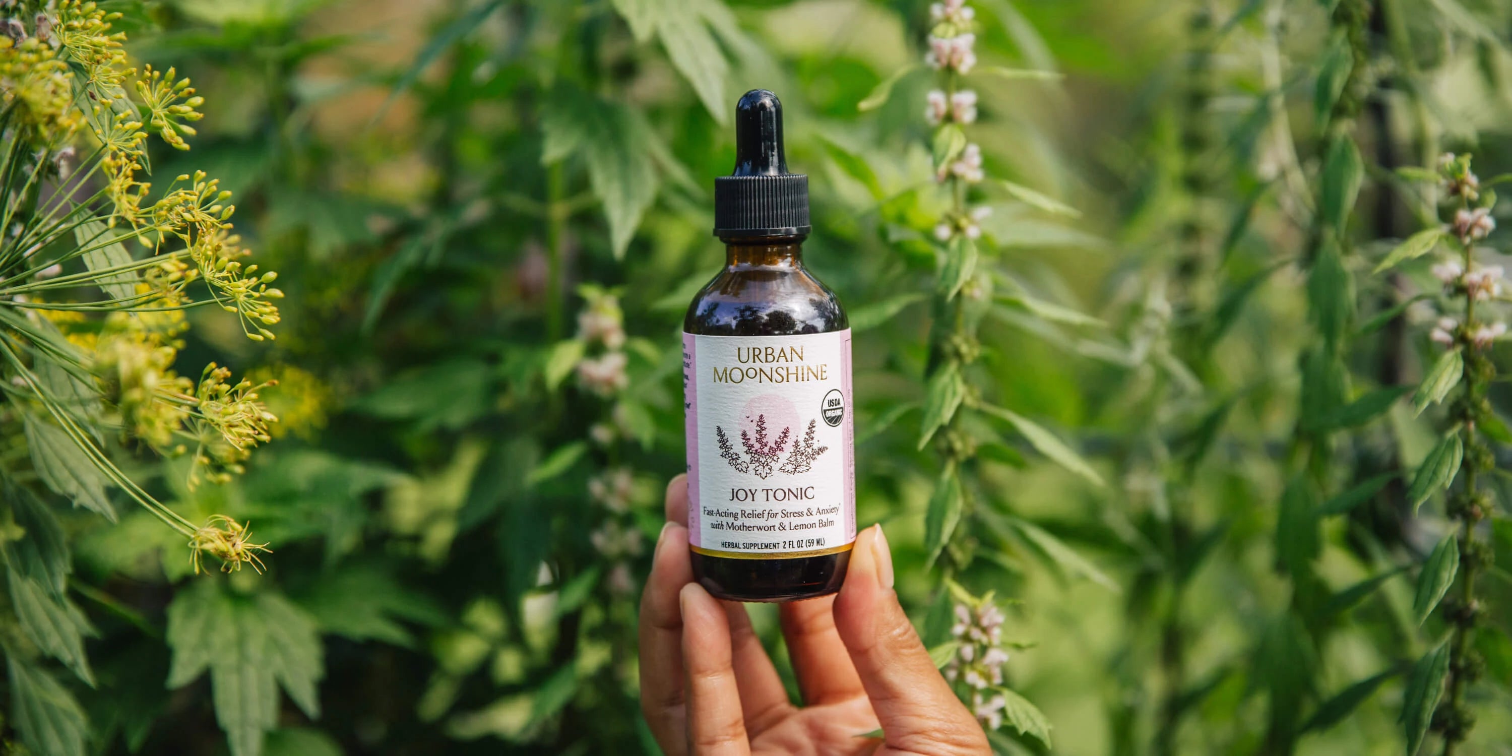 Stress, Mood, & Sleep Support