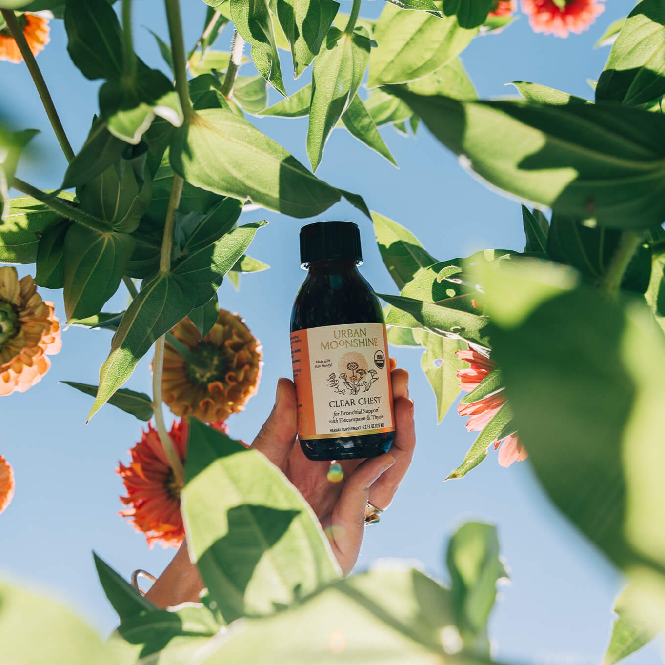 Hand holding a bottle of Clear Chest among flowers and greenery