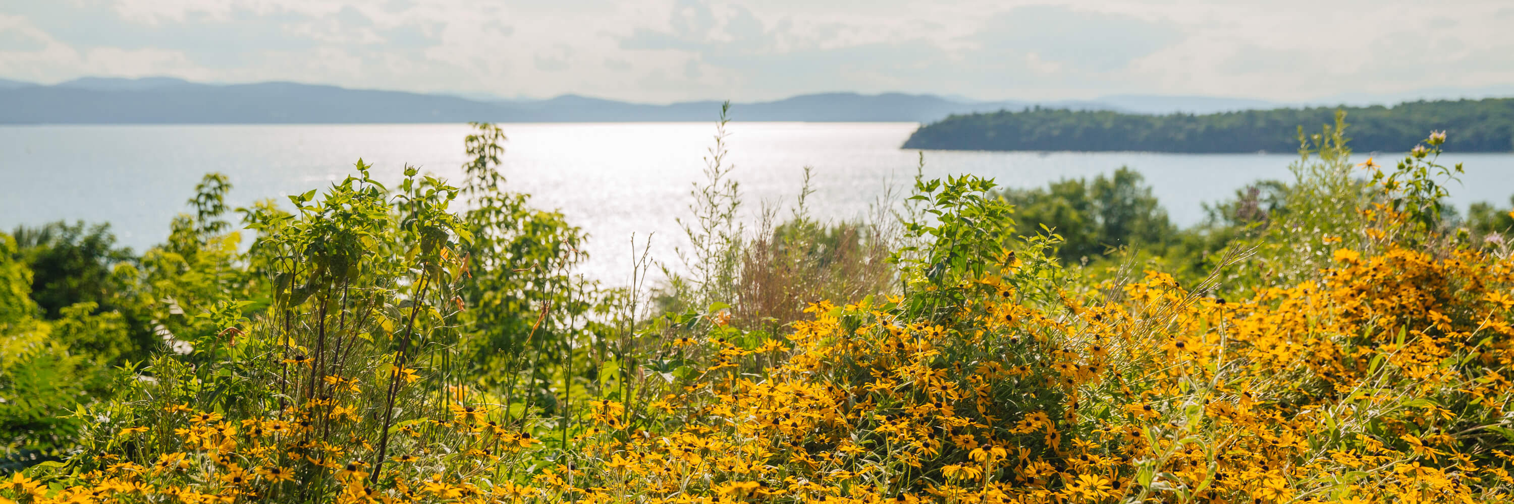 urban-moonshine-bitters-hero