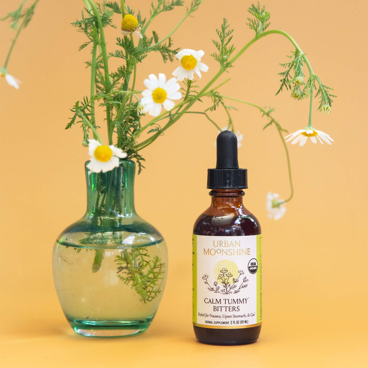 Calm Tummy Bitters Case